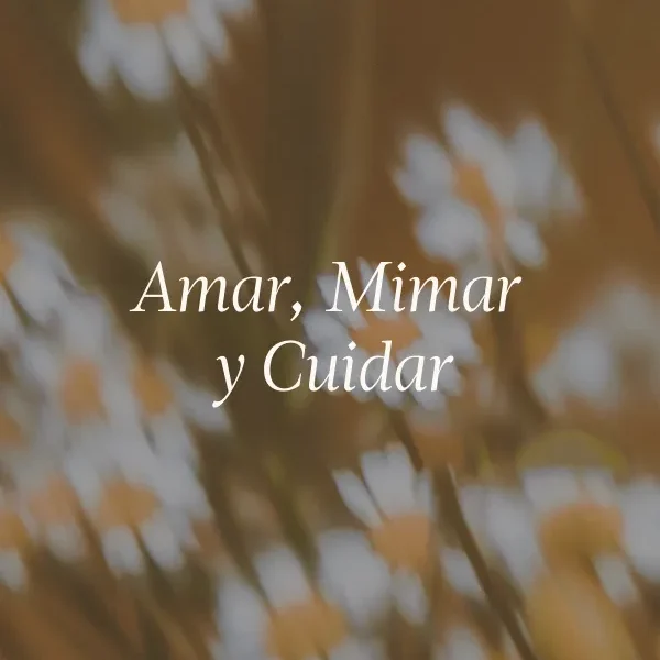 Amar, mimar y cuidar