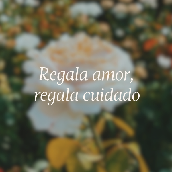 Regala amor, regala cuidado